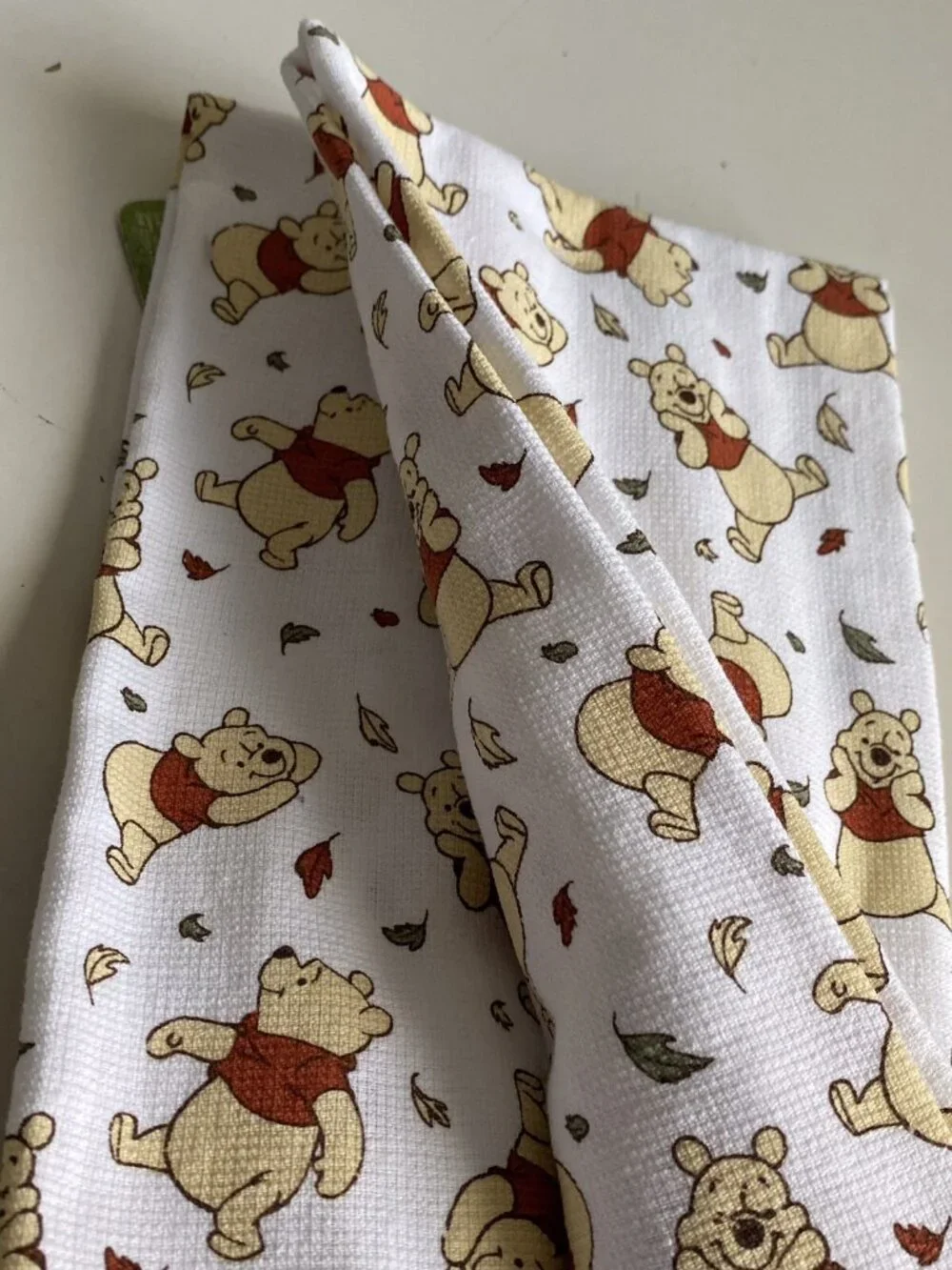 Disney pk winnie
